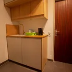 Centrum - Steinbock Apartment