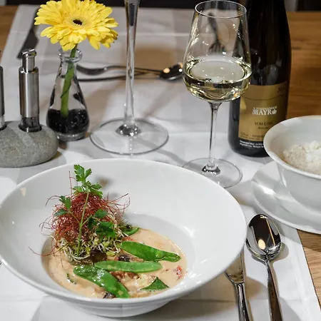 Centrum - Steinbock Apartament Zell am See