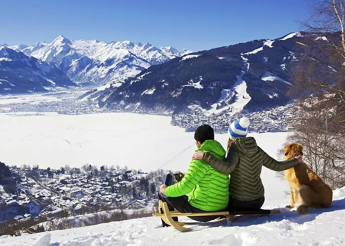 Centrum - Steinbock 젤암제
